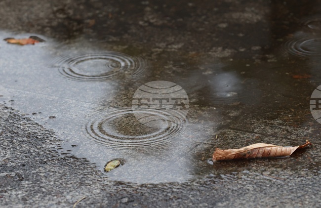 Прогноза за времето