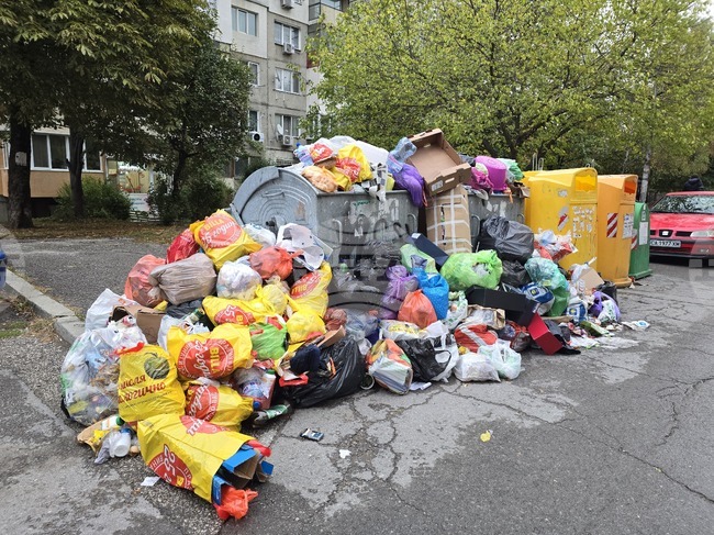 State Offers Sofia Municipality Assistance in Tackling Waste Crisis, Sofianites Step up to Help