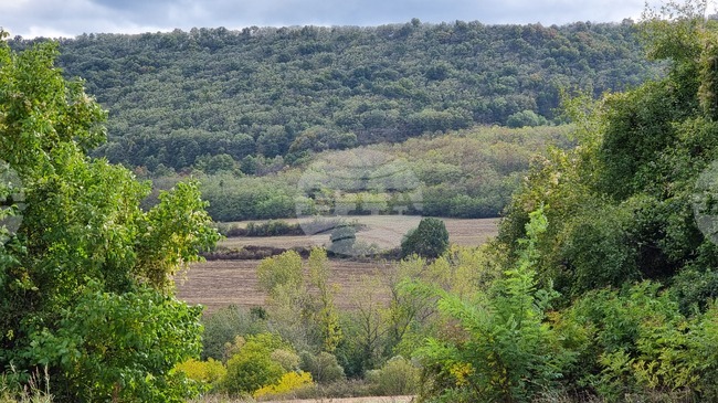 Две точки за отдаване под наем на общински земи приеха на днешното си заседание общинските съветници в Роман