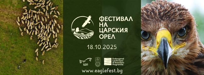 С концерт на Стефан Вълдобрев и изложение на продукти на 60 фирми ще протече ежегодният Фестивал на царския орел в Тополовград