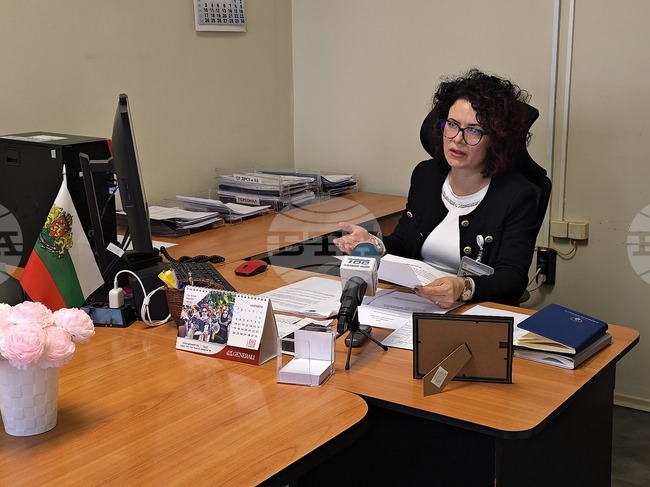 Обявени са свободни работни места в застрахователната сфера, счетоводството и в държавната администрация, съобщиха от Бюрото по труда във Видин