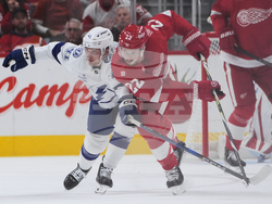 Lightning Red Wings Hockey