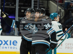 Sharks Mammoth Hockey