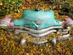 Pictures of the Week Global Photo Gallery