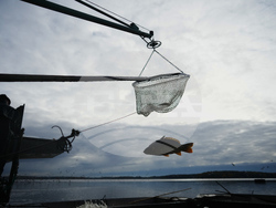 Pictures of the Week Global Photo Gallery