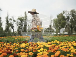 Pictures of the Week Global Photo Gallery