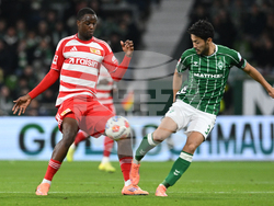 Germany Soccer Bundesliga