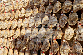 Елена - празник на еленския бут