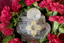 Видин - мощи на Свети Димитър - литийно шествие