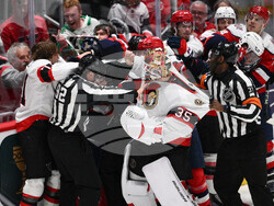 Senators Capitals Hockey