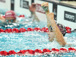 Canada Swimming World Cup