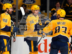 Kings Predators Hockey