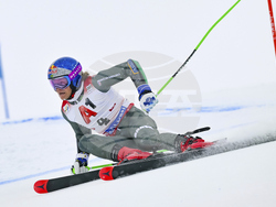 Austria Alpine Skiing World Cup