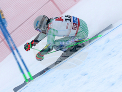 Austria Alpine Skiing World Cup