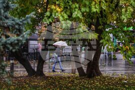 Дъждовно време