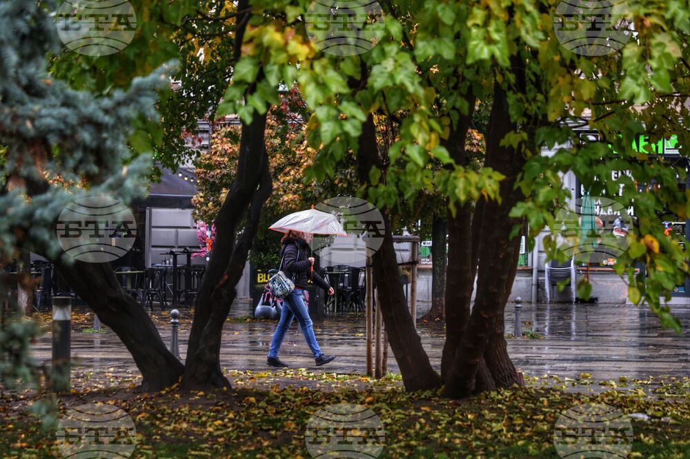 Дъждовно време