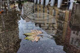 Дъждовно време