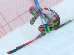 Austria Alpine Skiing World Cup