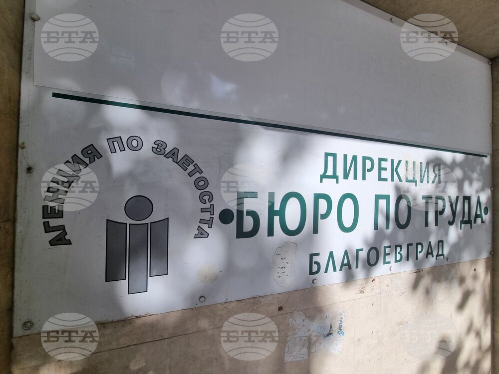 В Бюрото по труда в Благоевград са обявени свободни работни места основно в сферата на търговията, промишлеността и услугите