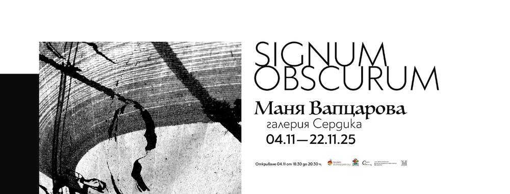 Маня Вапцарова прави експеримент с материалността и средствата на калиграфията в проекта Signum Obscurum