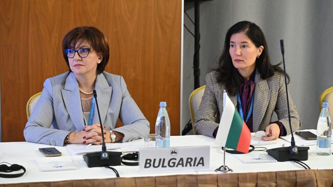 Цвета Караянчева е избрана за заместник-председател на Комитета по правни въпроси и международно сътрудничество на ПАЧИС