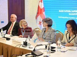 Цвета Караянчева участва в заседание на комитет на ПАЧИС в Грузия