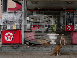 Jamaica Extreme Weather