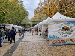 Монтана-фермерски пазар2025-2