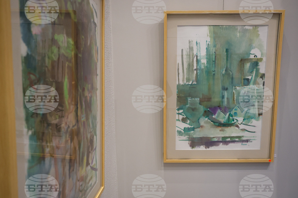 Бургас - Анелия Николова - изложба живопис