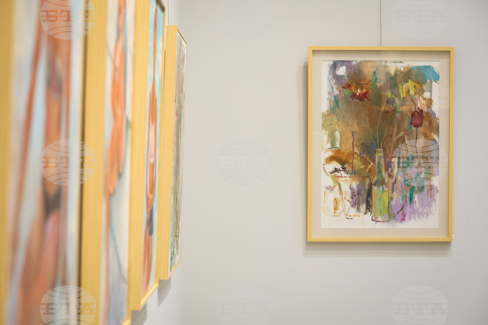 Бургас - Анелия Николова - изложба живопис