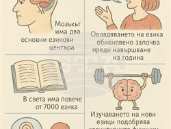 Снимка: Асоциация за инсулт и афазия