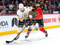Bruins Senators Hockey