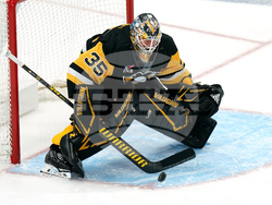 Blues Penguins Hockey