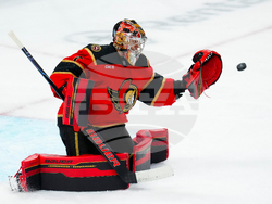 Bruins Senators Hockey