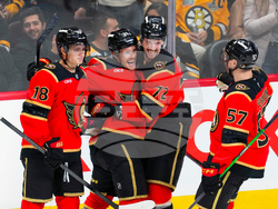 Bruins Senators Hockey