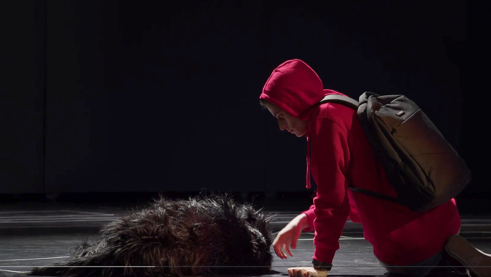 Община Варна: Кученце от приюта в с. Каменар ще участва в постановка на Драматичния театър в Русе