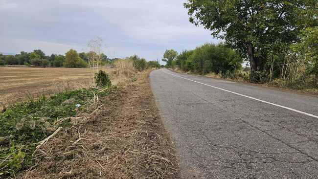 Община Сливен: Продължават дейностите по почистване и подобряване видимостта на пътищата в общината