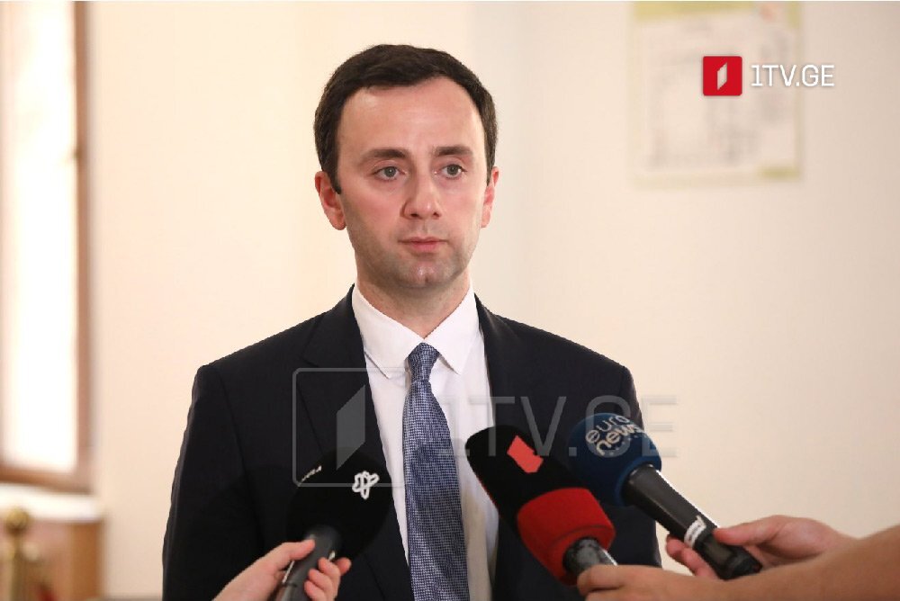 ГПБ: Партии, които се занимават с всичко друго, но не и с политика, не могат да определят бъдещето на Грузия, заяви грузински депутат