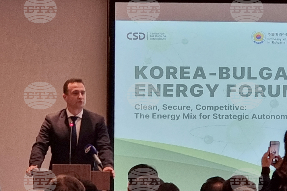 Bulgaria Can Become "Balancing Energy Power" in Balkans