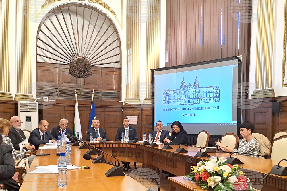 Agriculture Minister: No Plans for Vaccination of Small Ruminants Against Smallpox