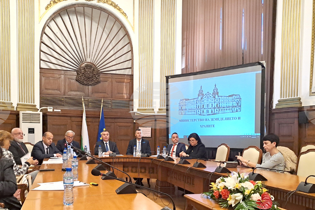 Agriculture Minister: No Plans for Vaccination of Small Ruminants Against Smallpox