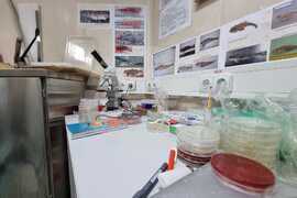 Antarctic Marine Ecosystem Easily Susceptible to Negative Changes By Human Activity