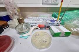 Antarctic Marine Ecosystem Easily Susceptible to Negative Changes By Human Activity