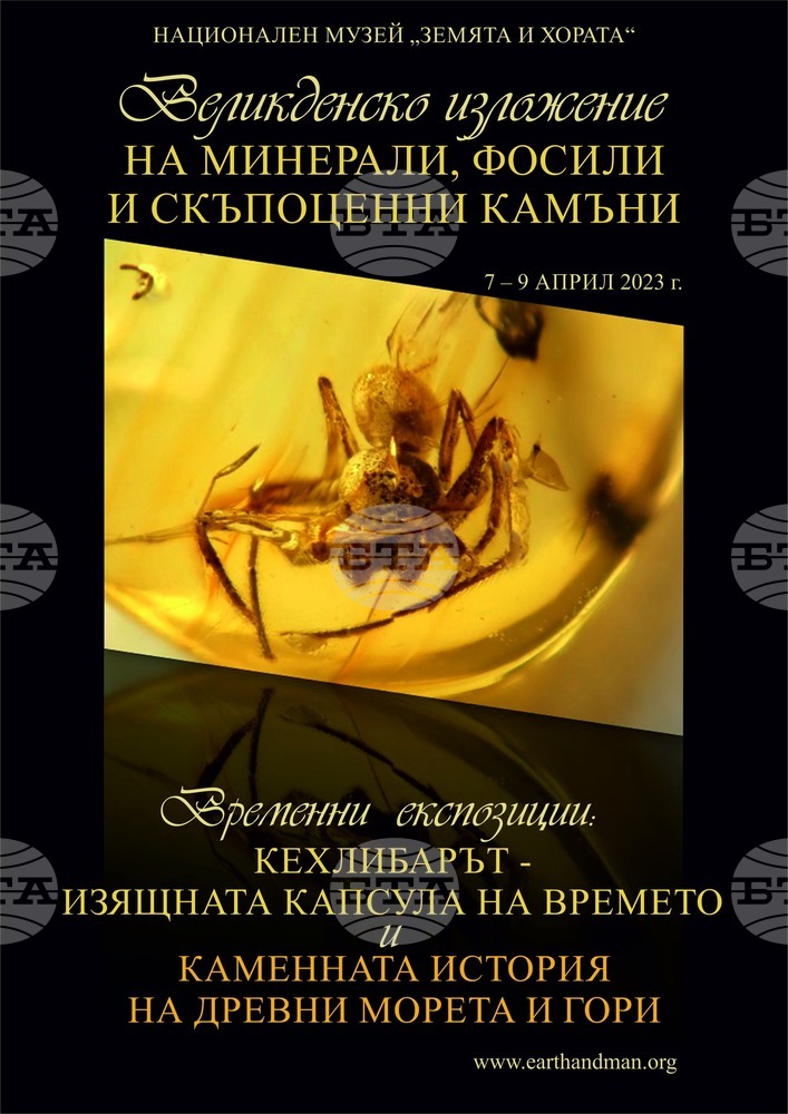 Великденско изложение на минерали, скъпоценни камъни и фосили организира Националният музей “Земята и хората”