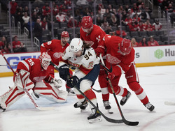 Panthers Red Wings Hockey