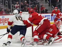 Panthers Red Wings Hockey