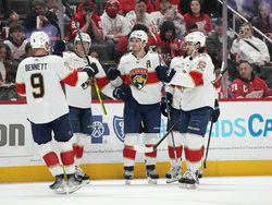 Panthers Red Wings Hockey