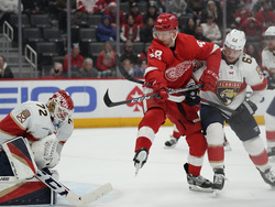 Panthers Red Wings Hockey