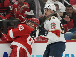 Panthers Red Wings Hockey