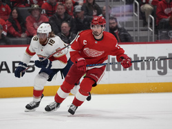 Panthers Red Wings Hockey